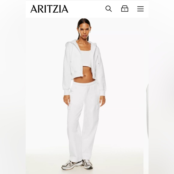 BNWT : Aritzia Boyfriend Cropped Boyfriend Hoodie - Picture 2 of 5